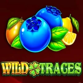Wild Traces by Amusnet Interactive, showcased at sankra-casino.net – game logo